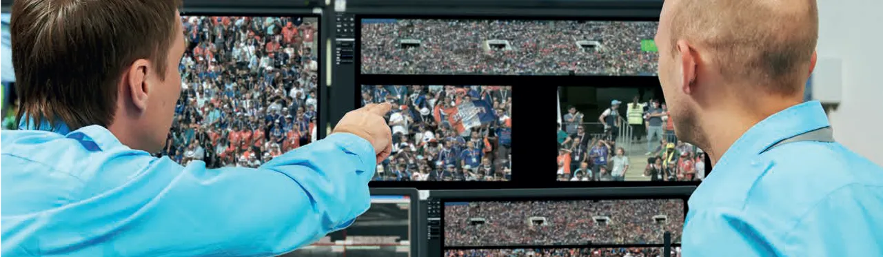 Monitoring Crowds